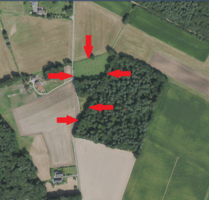 Grundstück in Rees 59.000,00 € 11288 m²