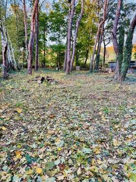 Foto - Grundstück in Königs Wusterhausen 5.544,00 € 1031 m²