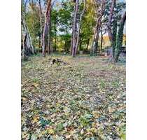 Grundstück in Königs Wusterhausen 5.544,00 € 1031 m²