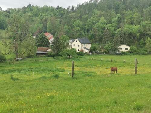 Foto - Haus zum Kaufen in Unterwellenborn 475.000,00 € 250 m²