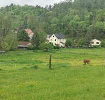 Haus zum Kaufen in Unterwellenborn 475.000,00 € 250 m²