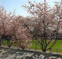 Wohnen auf Zeit in Düsseldorf 1.700,00 €