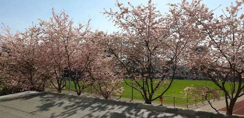 Foto - Wohnen auf Zeit in Düsseldorf 1.700,00 €