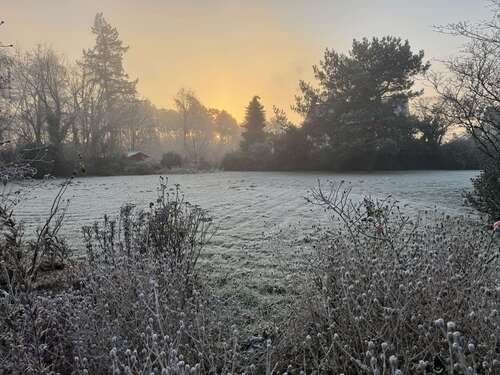 Foto - Grundstück zu verkaufen in Swisttal 1.300.000,00 € 3059 m²