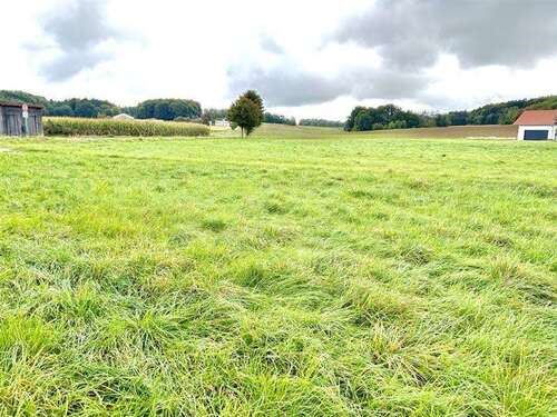 Foto - Grundstück zu verkaufen in Herrnried 159.000,00 € 1250 m²
