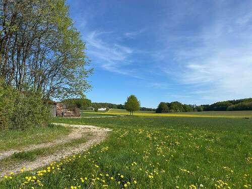 Foto - Grundstück zu verkaufen in Herrnried 139.900,00 € 1150 m²