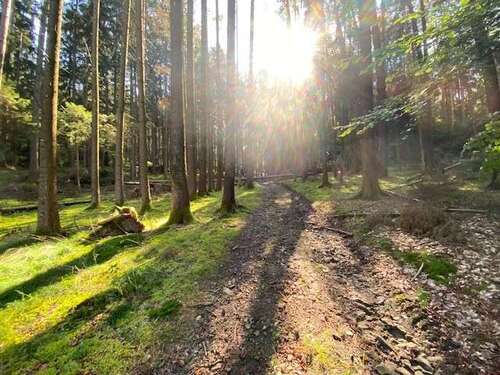 Foto - Grundstück in Pentling Matting 13.500,00 € 2193 m²