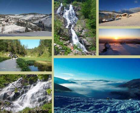 Foto - Wohnung zum Mieten in Todtnauberg 600,00 € 65 m²