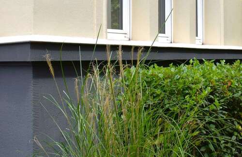 Foto - Haus zum Kaufen in Köln 2.390.000,00 € 600 m²