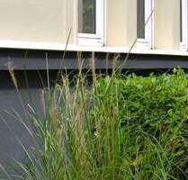 Haus zum Kaufen in Köln 2.390.000,00 € 600 m²