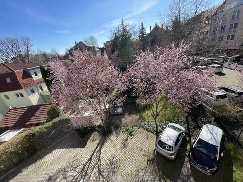 Foto - Wohnung zum Kaufen in Dresden 189.000,00 € 72.47 m²