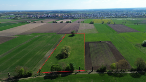 Foto - Spezialgewerbe in Baar-Ebenhausen 243.295,00 € 0 m²
