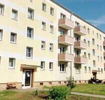 Wohnung zum Mieten in Lauchhammer 295,00 € 49.1 m²