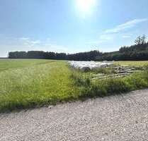 Grundstück in Kirchhaslach Greimeltshofen 59.000,00 € 11153 m² - Kirchhaslach / Greimeltshofen