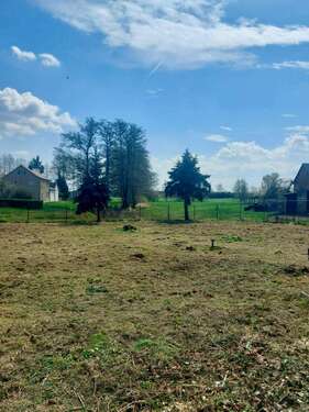 Foto - Grundstück zu verkaufen in Herzberg OT Löhsten 19.500,00 € 618 m²