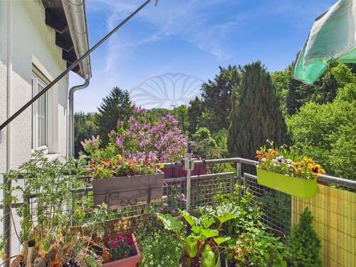 Foto - Wohnung zum Kaufen in Schmitten 197.000,00 € 76 m²