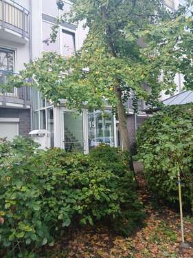 Foto - Wohnung zum Mieten in Magdeburg 450,00 € 47.35 m²