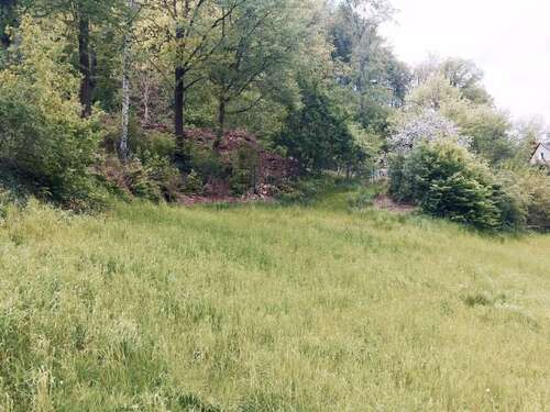 Foto - Grundstück zu verkaufen in Tharandt 93.000,00 € 620 m²