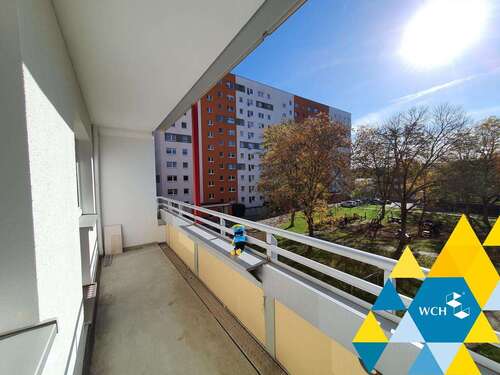 Foto - Wohnung zum Mieten in Chemnitz 219,00 € 35.82 m²