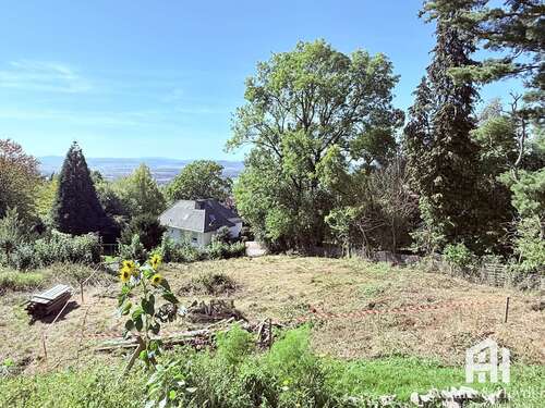 Foto - Grundstück zu verkaufen in Niedenstein 109.000,00 € 661 m²