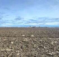 Grundstück zu verkaufen in Leipheim Riedheim 1.000.000,00 € 82507 m² - Leipheim / Riedheim