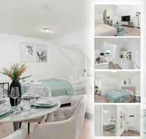 Wohnung zum Mieten in Kassel 1.200,00 € 65 m²