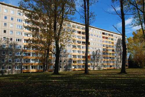 Foto - Wohnung zum Mieten in Chemnitz 270,00 € 44.71 m²