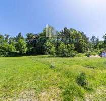 Grundstück zu verkaufen in Großkmehlen 81.300,00 € 1199 m²
