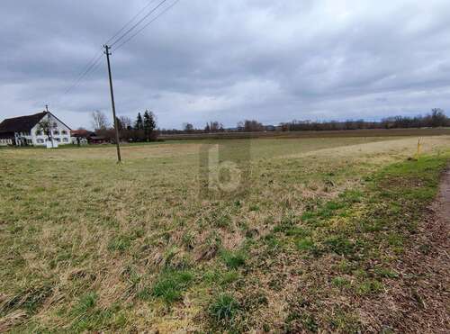 Foto - Grundstück zu verkaufen in Ehingen an der Donau 128.000,00 € 1000 m²