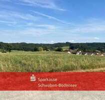 Grundstück in Mickhausen 222.000,00 € 44342 m²