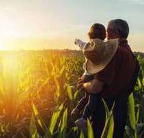 Spezialgewerbe in Rohrbach 85.200,00 € 6548 m²