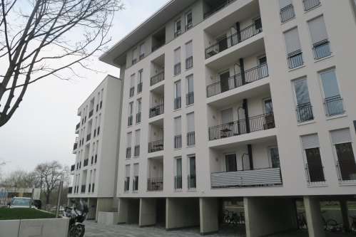 Foto - Wohnung zum Mieten in Dresden 430,00 € 36 m²