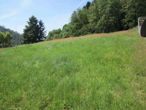 Foto - Grundstück zu verkaufen in Thallichtenberg 88.000,00 € 2010 m²