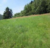 Grundstück zu verkaufen in Thallichtenberg 88.000,00 € 2010 m²