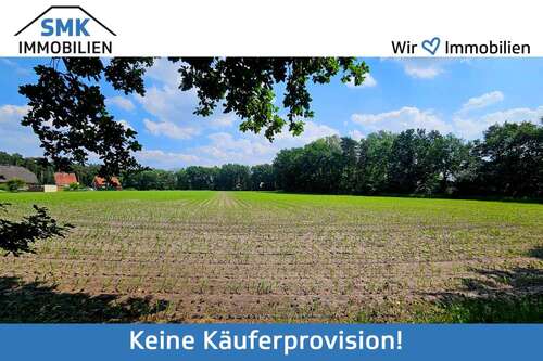Foto - Grundstück zu verkaufen in Schloß Holte-Stukenbrock 299.000,00 € 892 m²