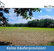 Grundstück zu verkaufen in Schloß Holte-Stukenbrock 299.000,00 € 892 m²