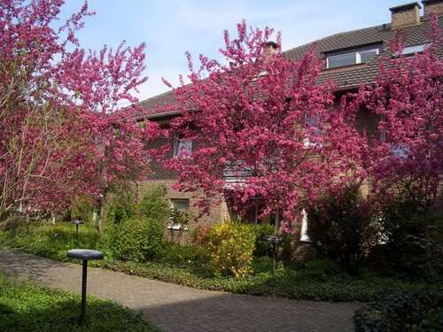 Foto - Wohnung zum Mieten in Bonn 444,71 € 46.96 m²