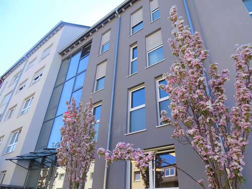 Foto - Wohnung zum Mieten in Frankfurt am Main 755,00 € 39 m²