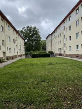 Foto - Wohnung zum Mieten in Berlin 318,00 € 31 m²