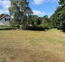 Grundstück zu verkaufen in Marienwerder 99.500,00 € 1871 m²