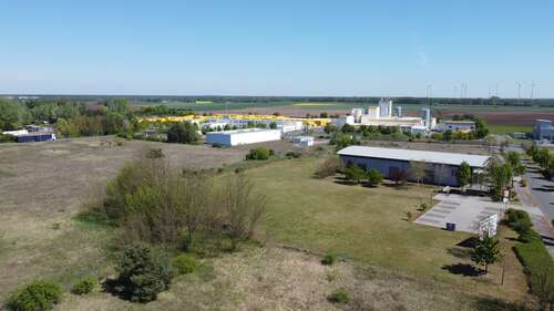 Foto - Halle in Brück 349.000,00 € 250 m²