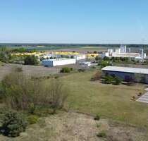 Halle in Brück 349.000,00 € 250 m²