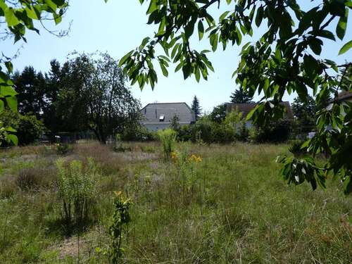 Foto - Grundstück zu verkaufen in Altlandsberg 400.000,00 € 1099 m²