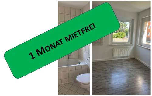 Foto - Wohnung zum Mieten in Zwickau 270,00 € 45.04 m²