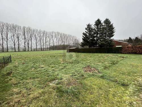 Foto - Grundstück zu verkaufen in Gütersloh 315.000,00 € 1179 m²