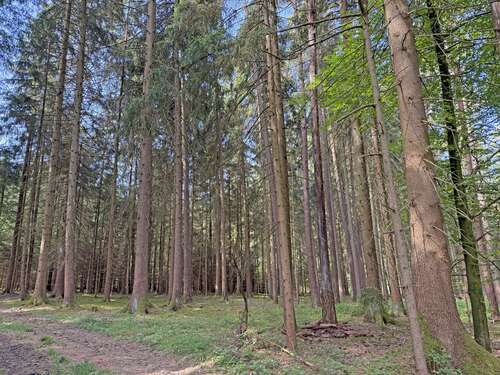 Foto - Grundstück in Beilngries 20.230,00 € 5390 m²