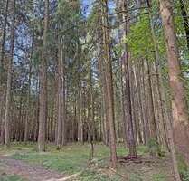 Grundstück in Beilngries 20.230,00 € 5390 m²