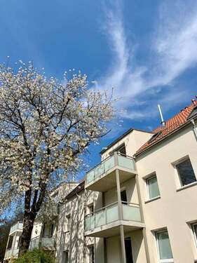 Foto - Wohnung zum Mieten in München 1.191,19 € 59.5 m²