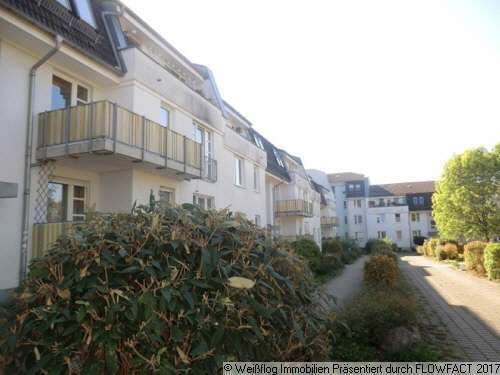 Foto - Wohnung zum Mieten in Chemnitz 415,00 € 67 m²