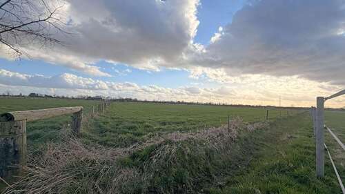 Foto - Grundstück in Hamminkeln 179.000,00 € 23862 m²